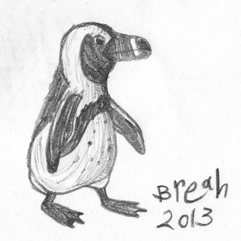 African Black-Footed Penguin