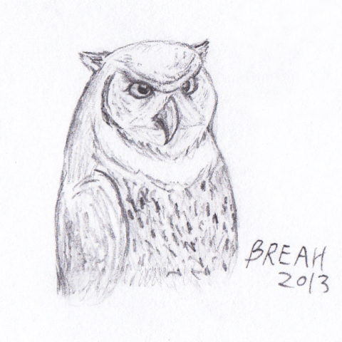 Great Horned Owl pencil sketch