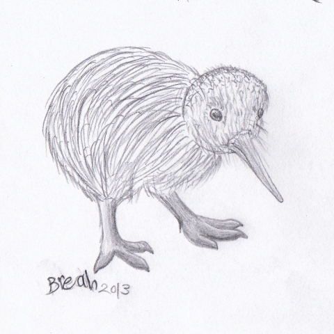 Kiwi Chick