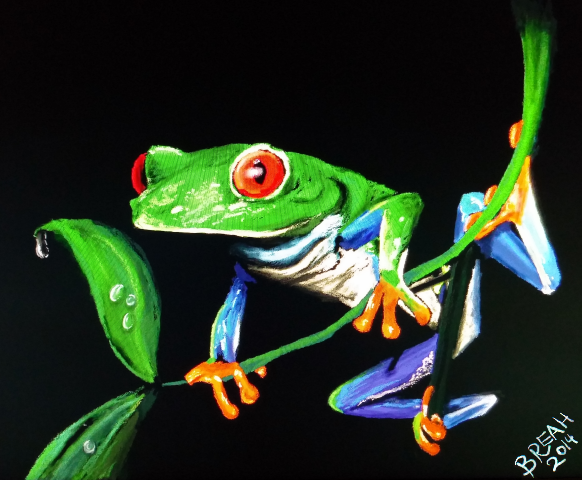 Red-Eyed Tree Frog Digital Painting