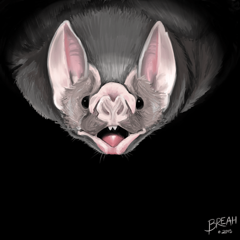 Vampire Bat Painting