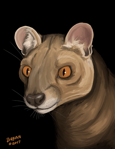 fossa-painting