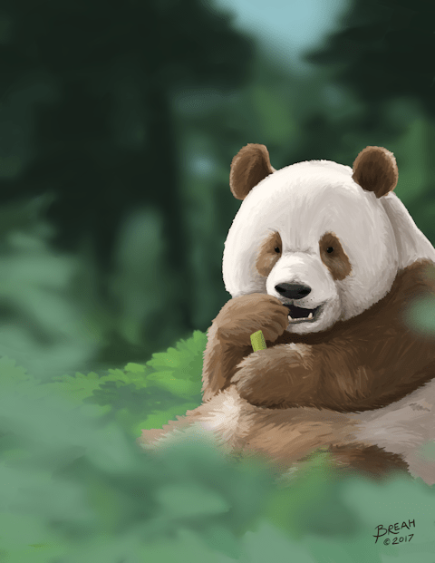 qinling-panda-painting