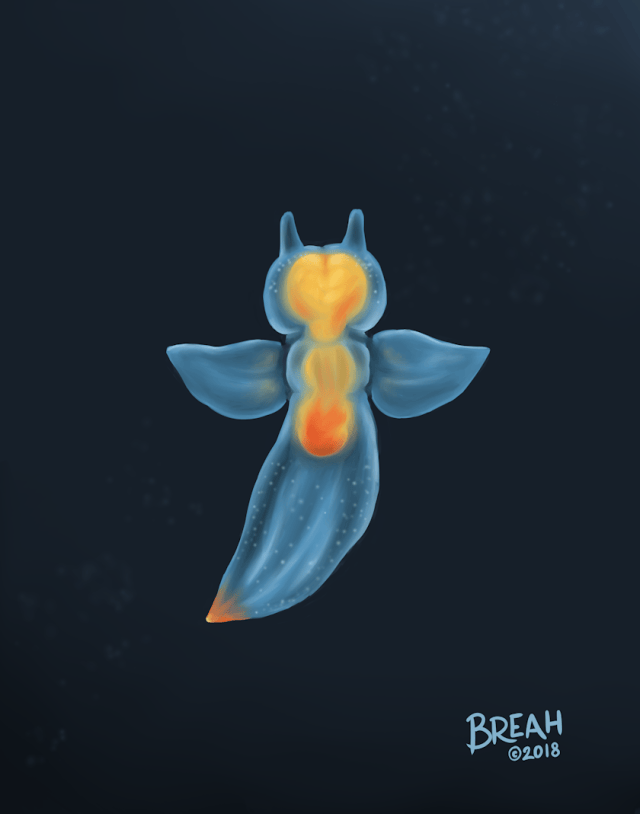 sea-angel-painting.png?w=640